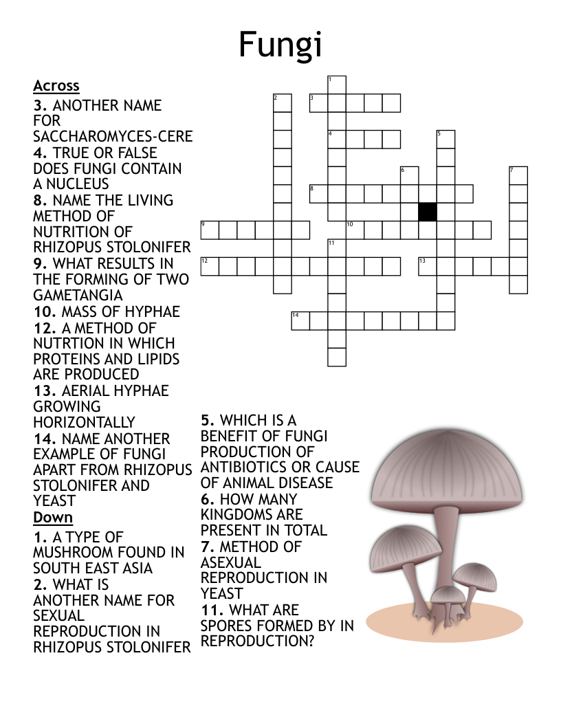 1 3 Quiz Crossword WordMint
