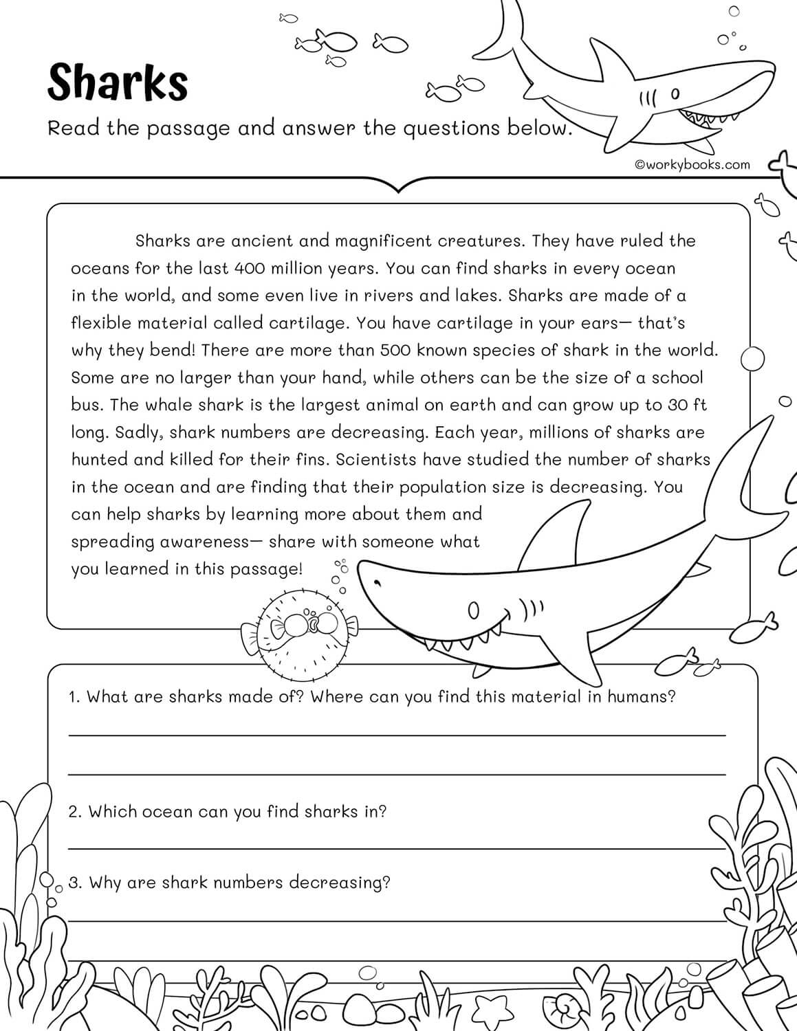 3rd grade reading comprehension passages