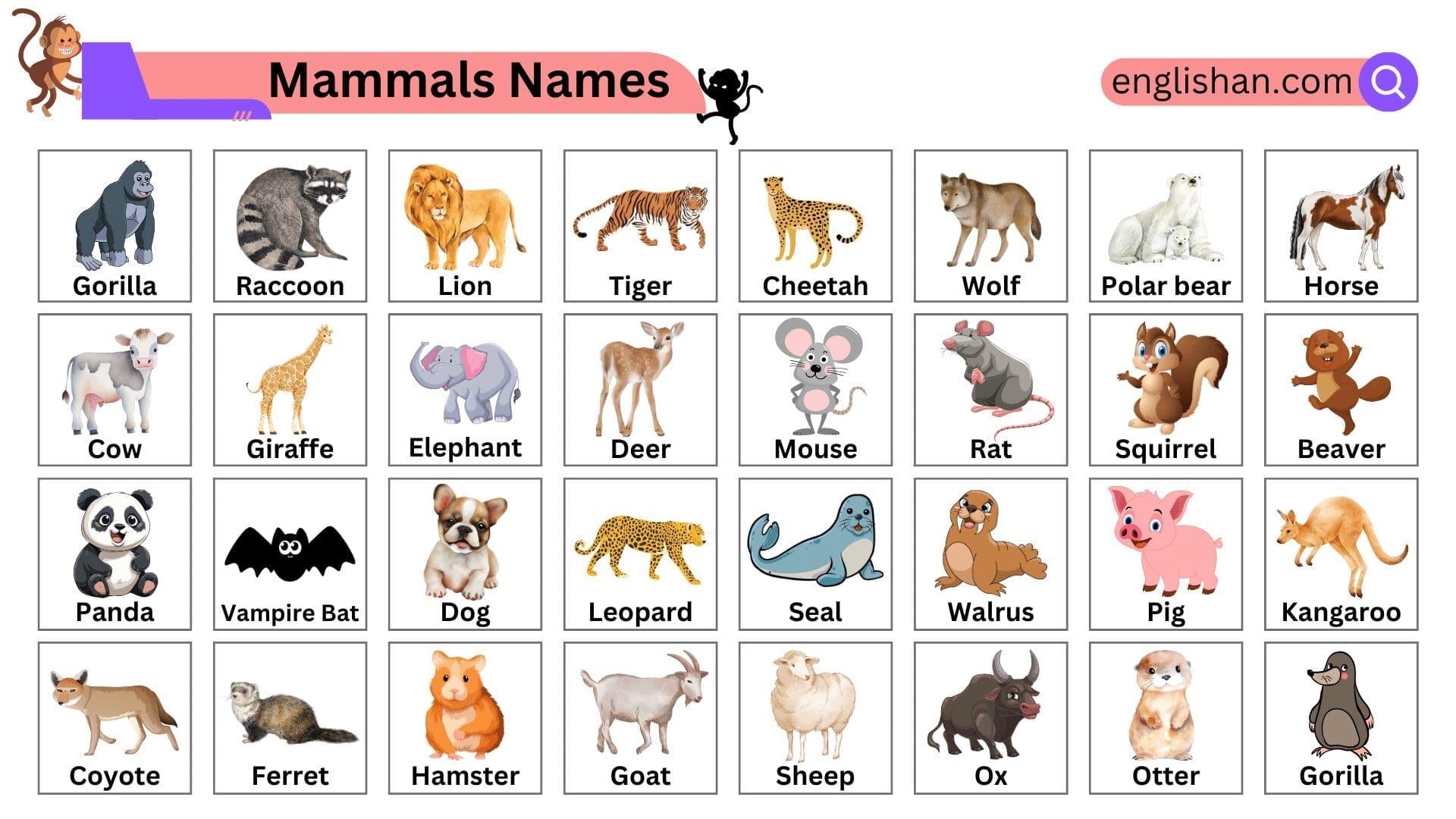 100 Mammals Names In English With Pictures Englishan