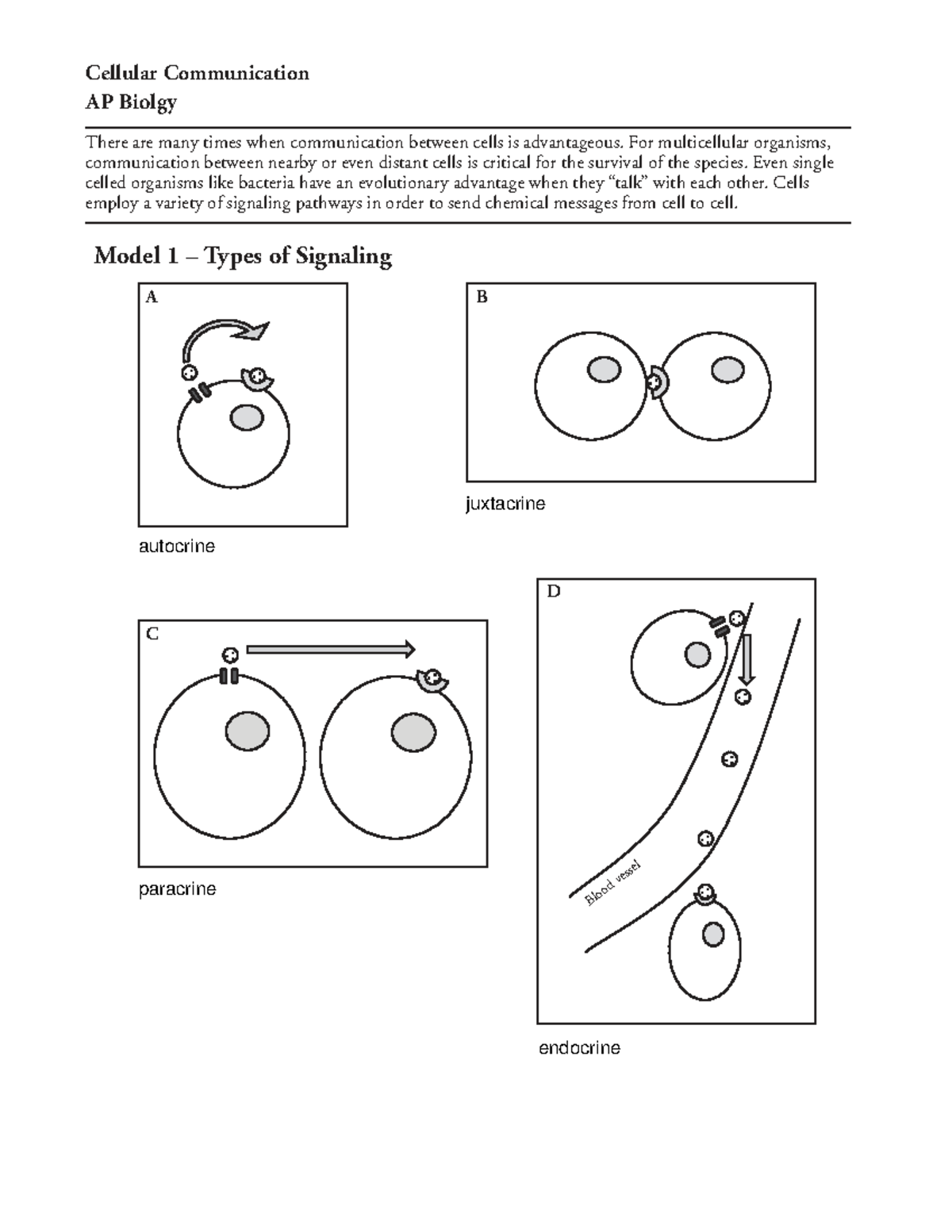 18 Pogil Regulation Of The Cell Cycle And Checkpoints Explained Studocu