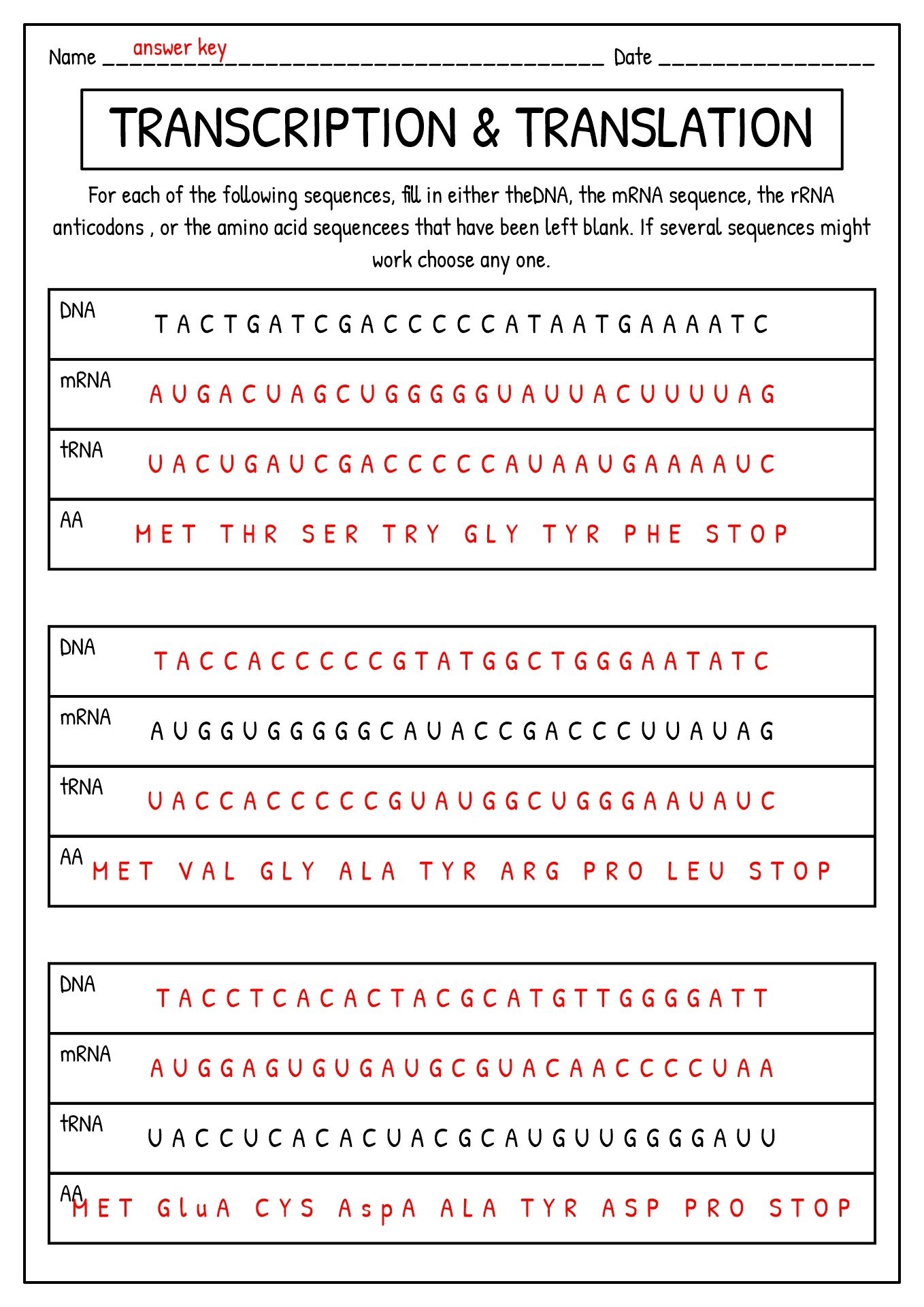 19 DNA Synthesis Worksheet Worksheets Library
