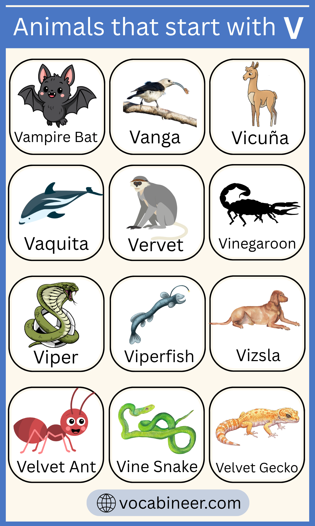28 Names Of Animals Starting With V In English