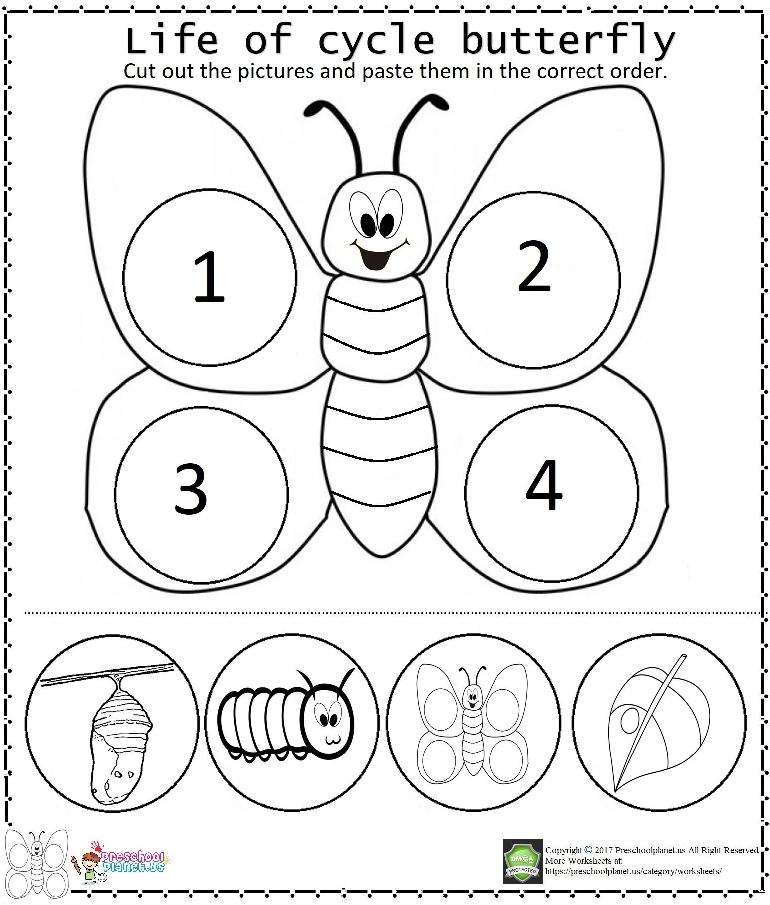 life cycle worksheet butterfly