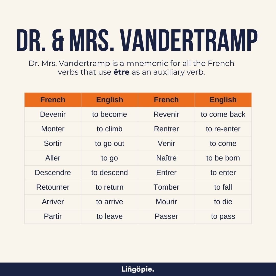 3 Simple Steps To Master Dr Mrs Vandertramp Verbs