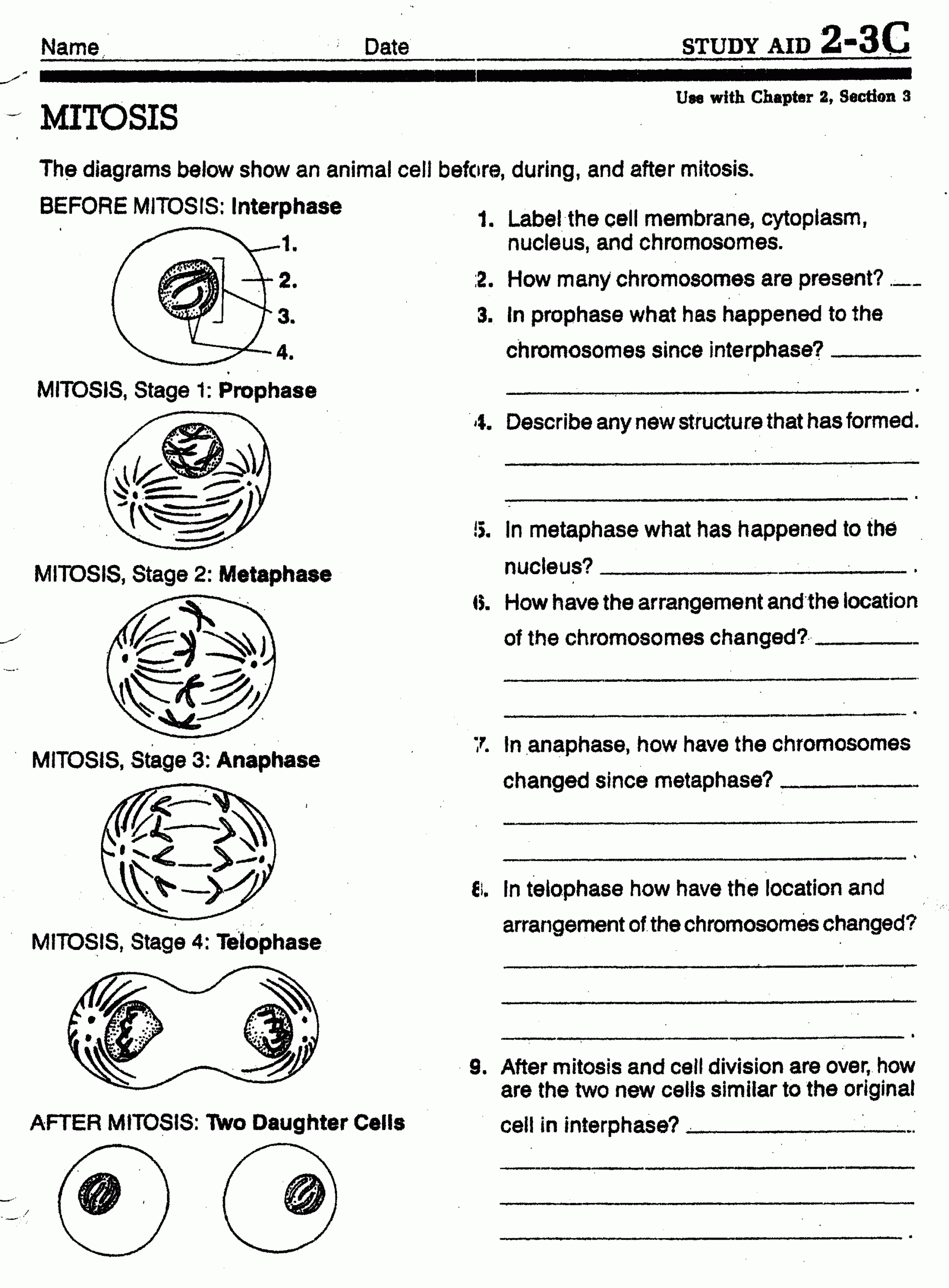 31 Mitosis Meiosis Ideas To Save Today Mitosis Meiosis Biology Lessons And More 31 Mitosis Meiosis Ideas To Save Today Mitosis Meiosis Biology Lessons And More