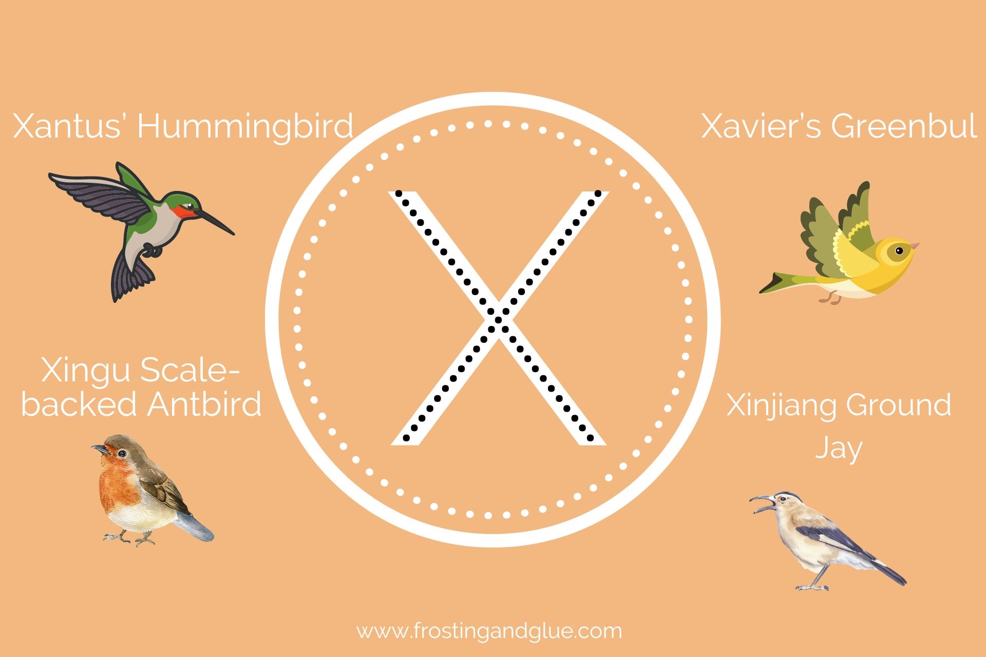 animal that name starts with x