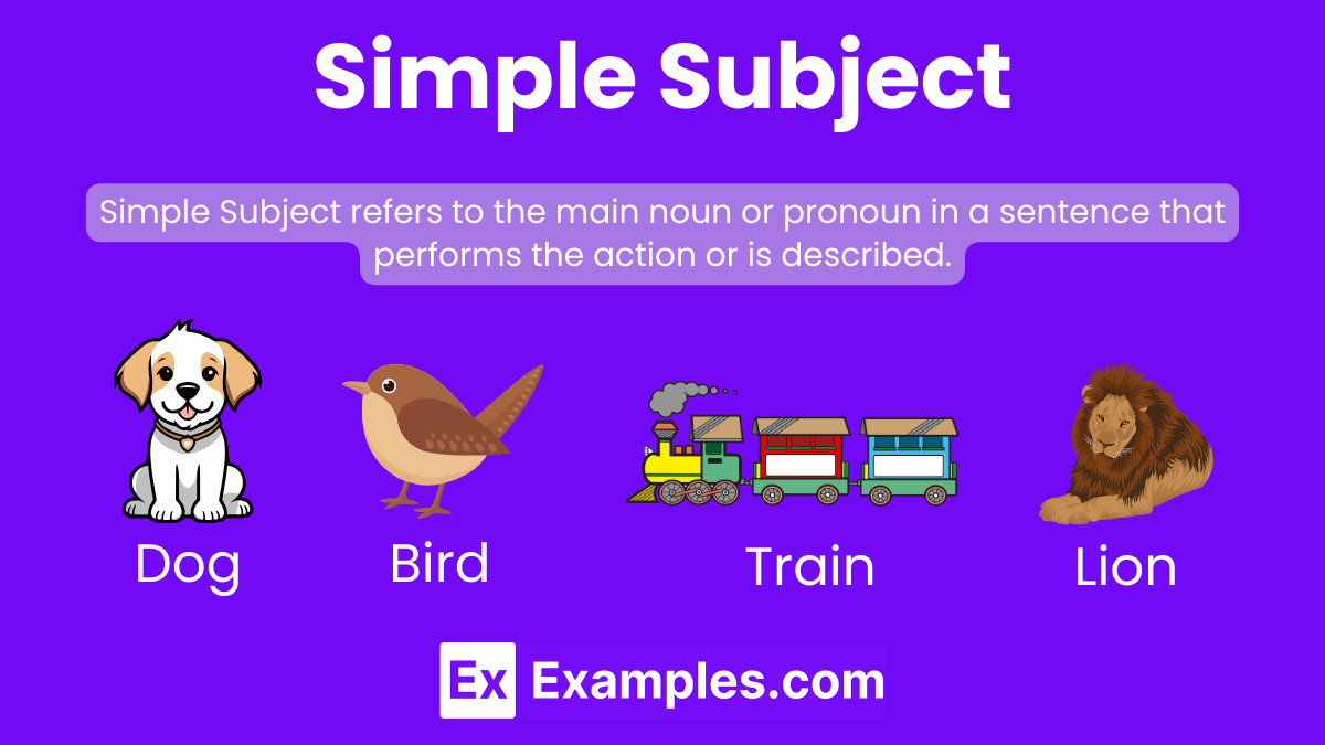 70 Simple Subject Examples