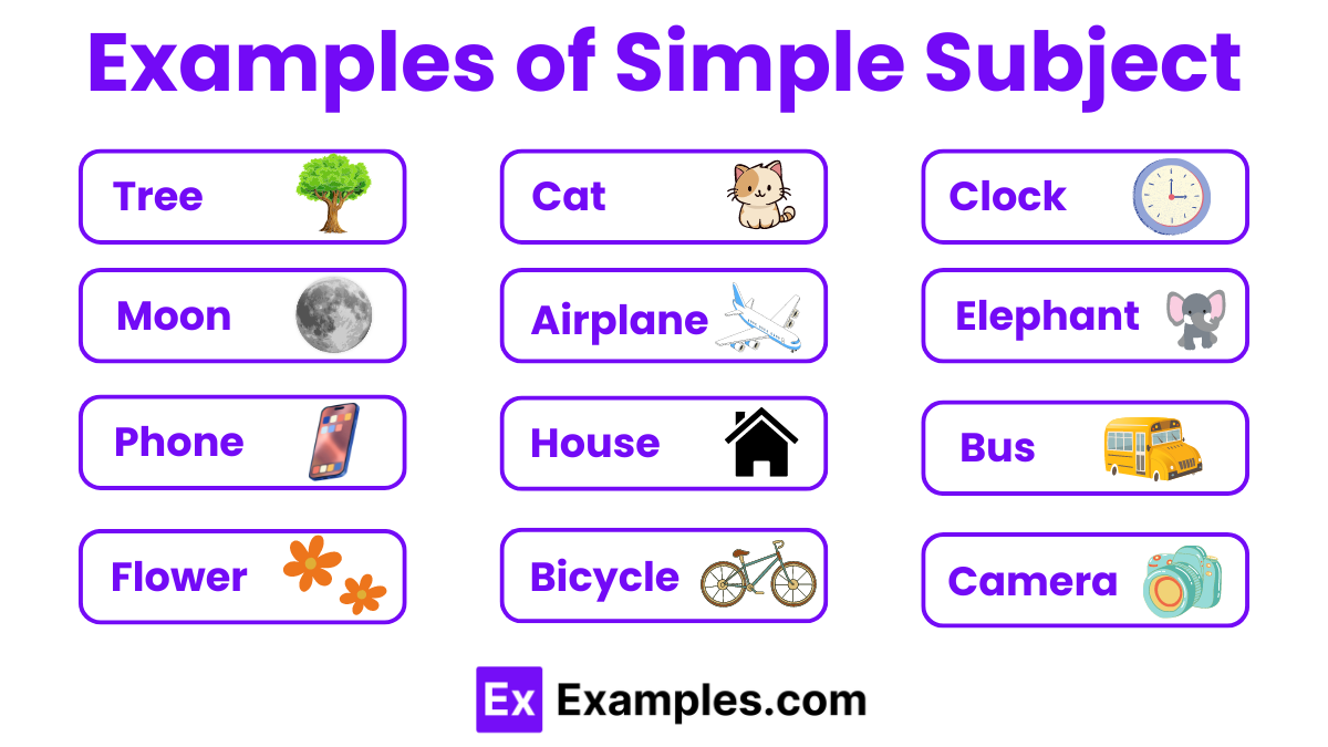 what is a simple subject