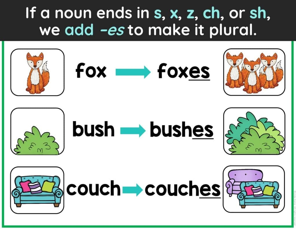 plural of a noun plural of a noun