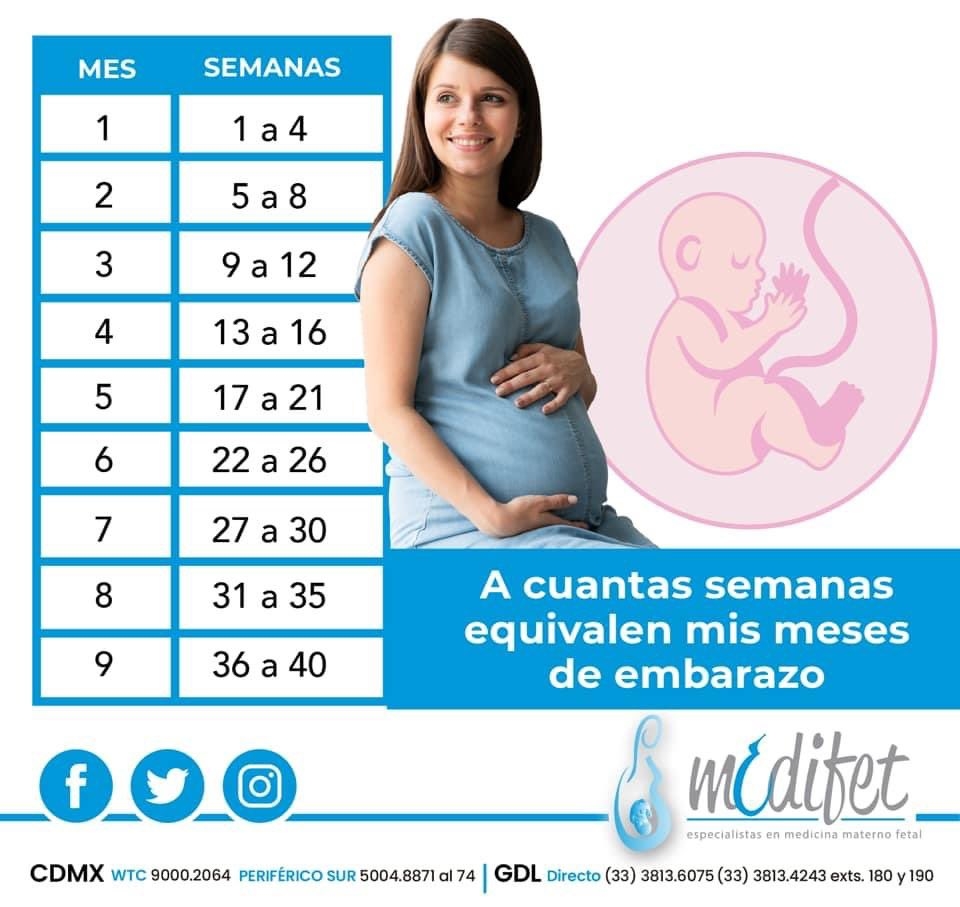 cuantas semanas tiene el mes cuantas semanas tiene el mes