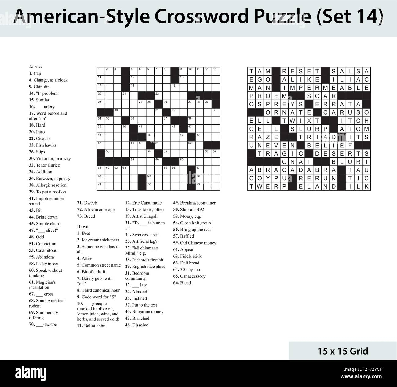 American Style Crossword Puzzle With A 15 X 15 Grid Includes Blank Crossword Grid Clues And Solution Stock Vector Image Art Alamy