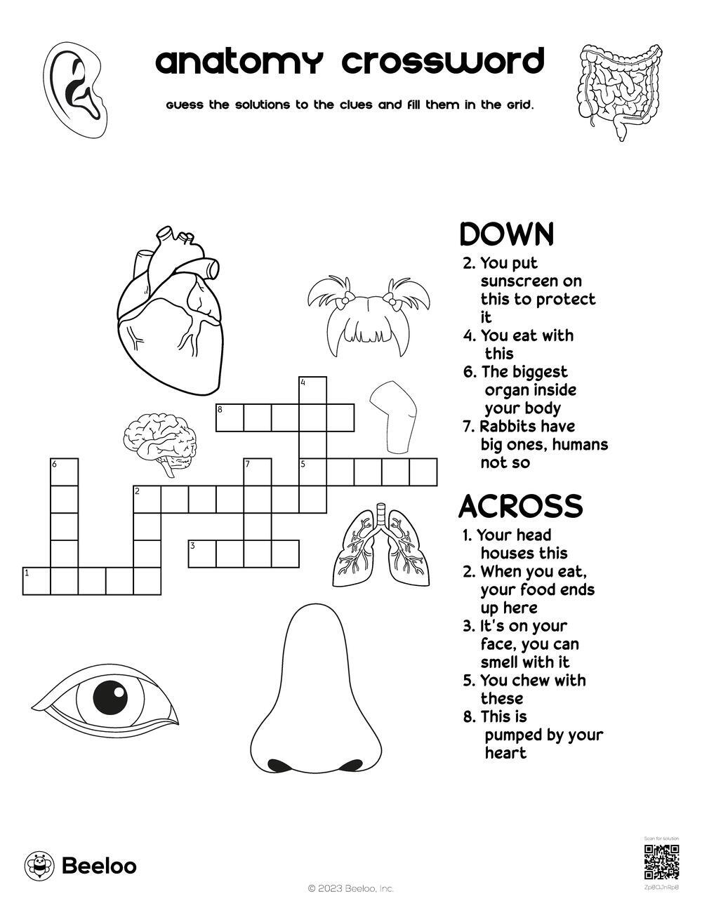 Anatomy Crossword Beeloo Printable Crafts And Activities For Kids