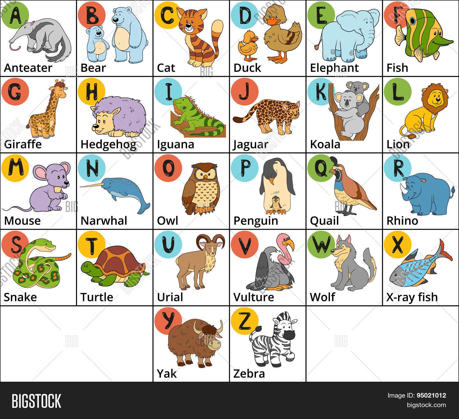 Animal Names With 6 Letters