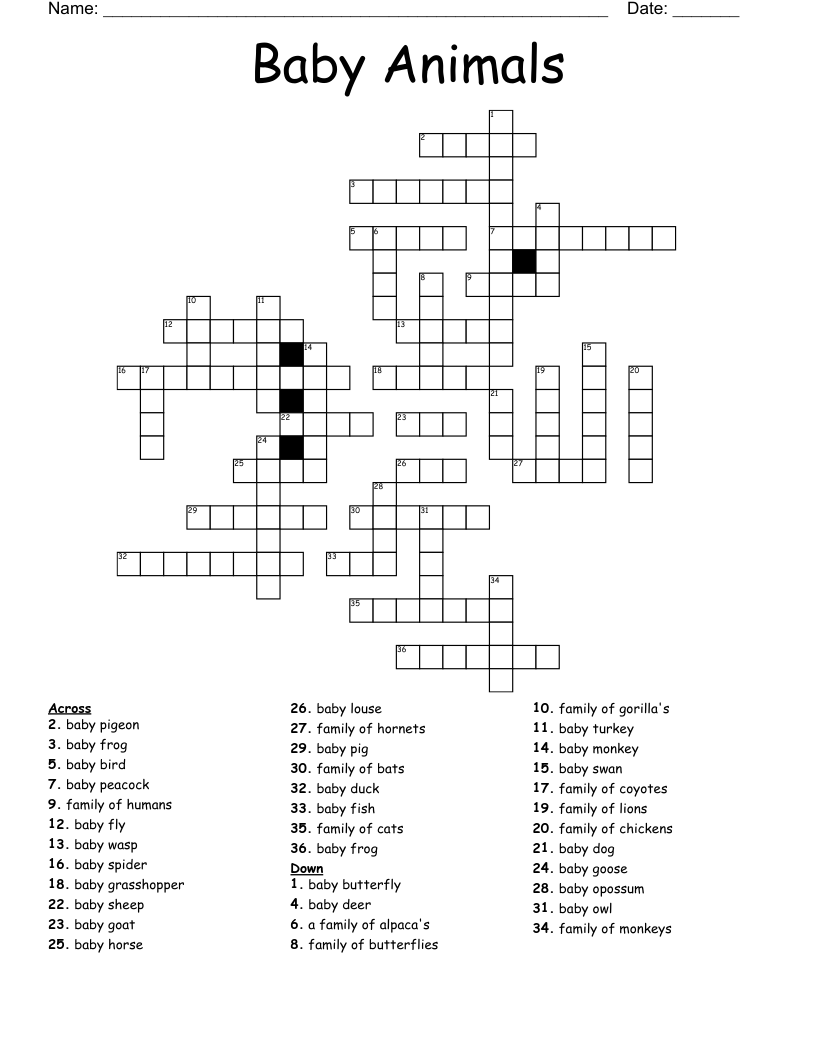 Baby Animals Crossword WordMint
