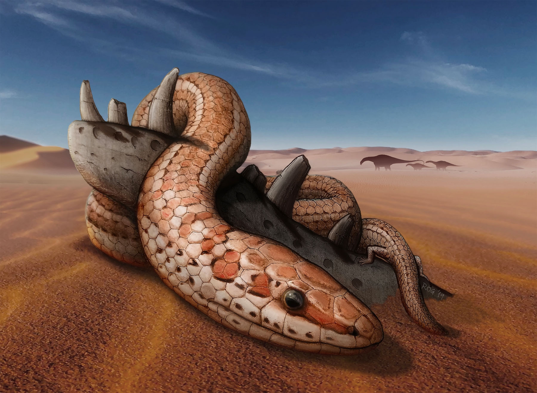 Beautifully Preserved Skull Of Biblical Snake With Hind Legs Discovered Live Science