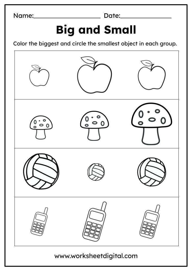 Big And Small Worksheet Digital 1 Teacher Made Resources