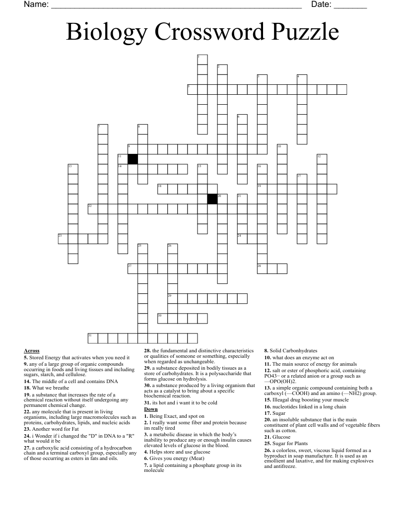Biology Crossword Puzzle WordMint