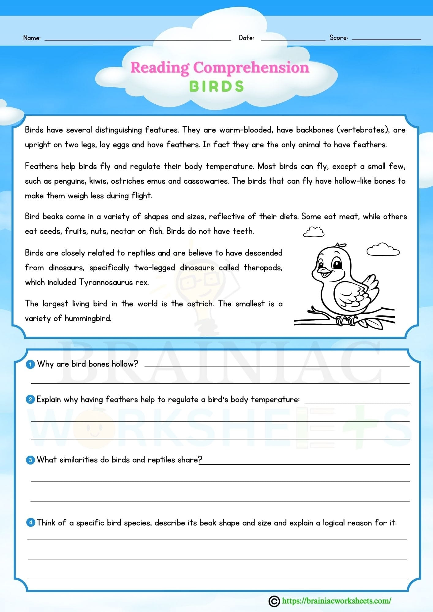 prose comprehension for class 3