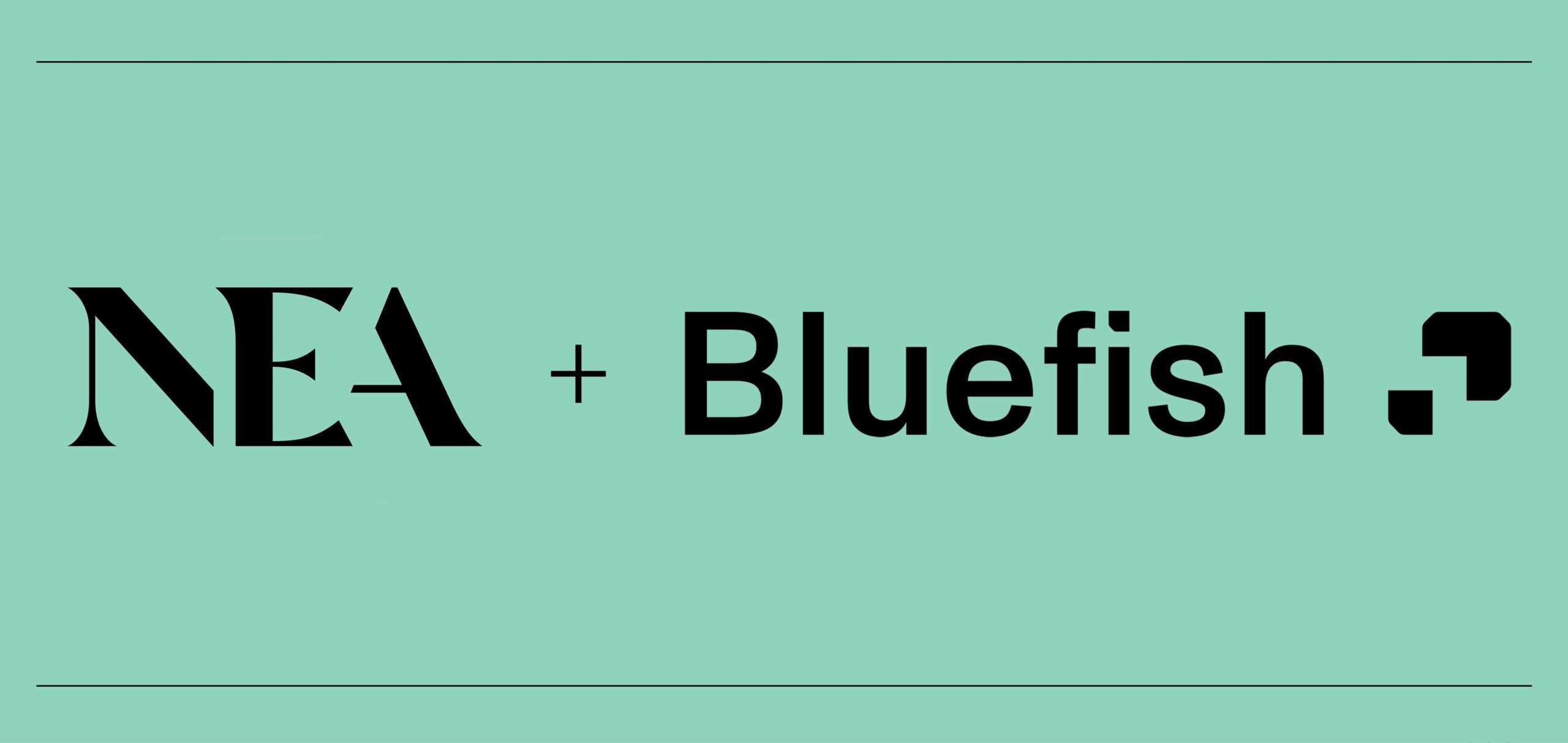 Bluefish The AI Marketing Platform For The Agentic Era NEA