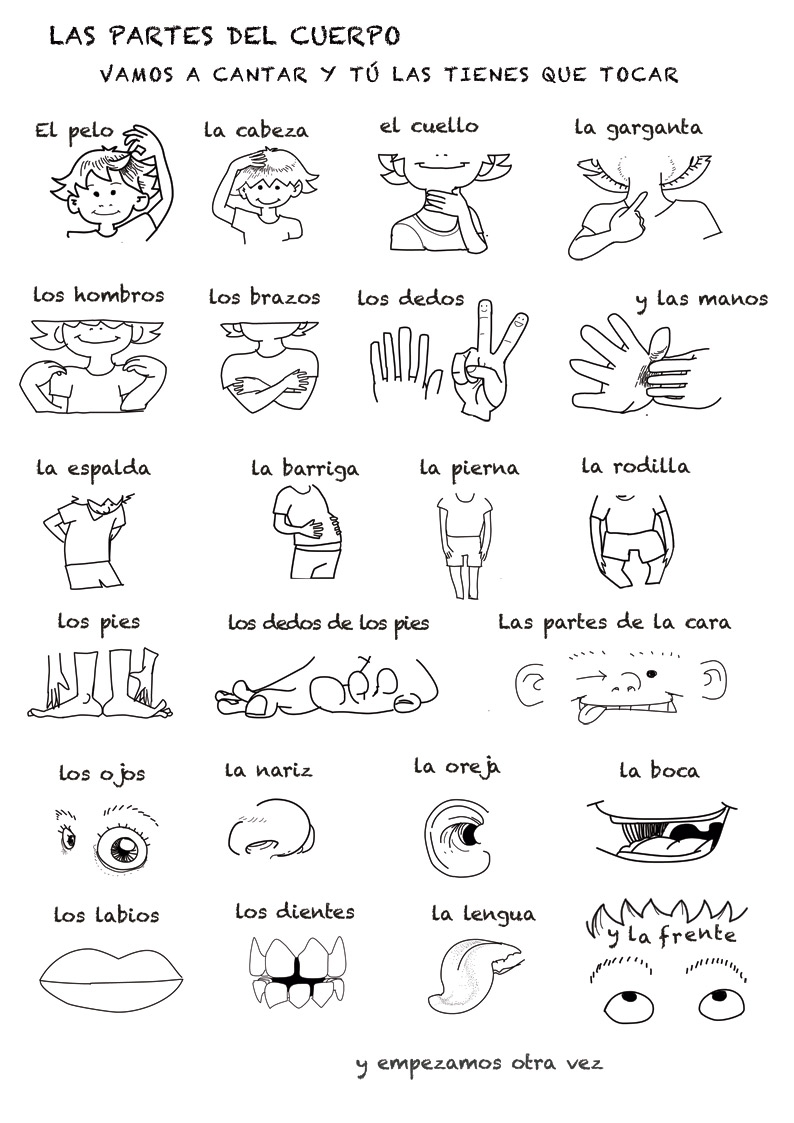 Body Parts Song Learning Spanish Vocabulary For Kids