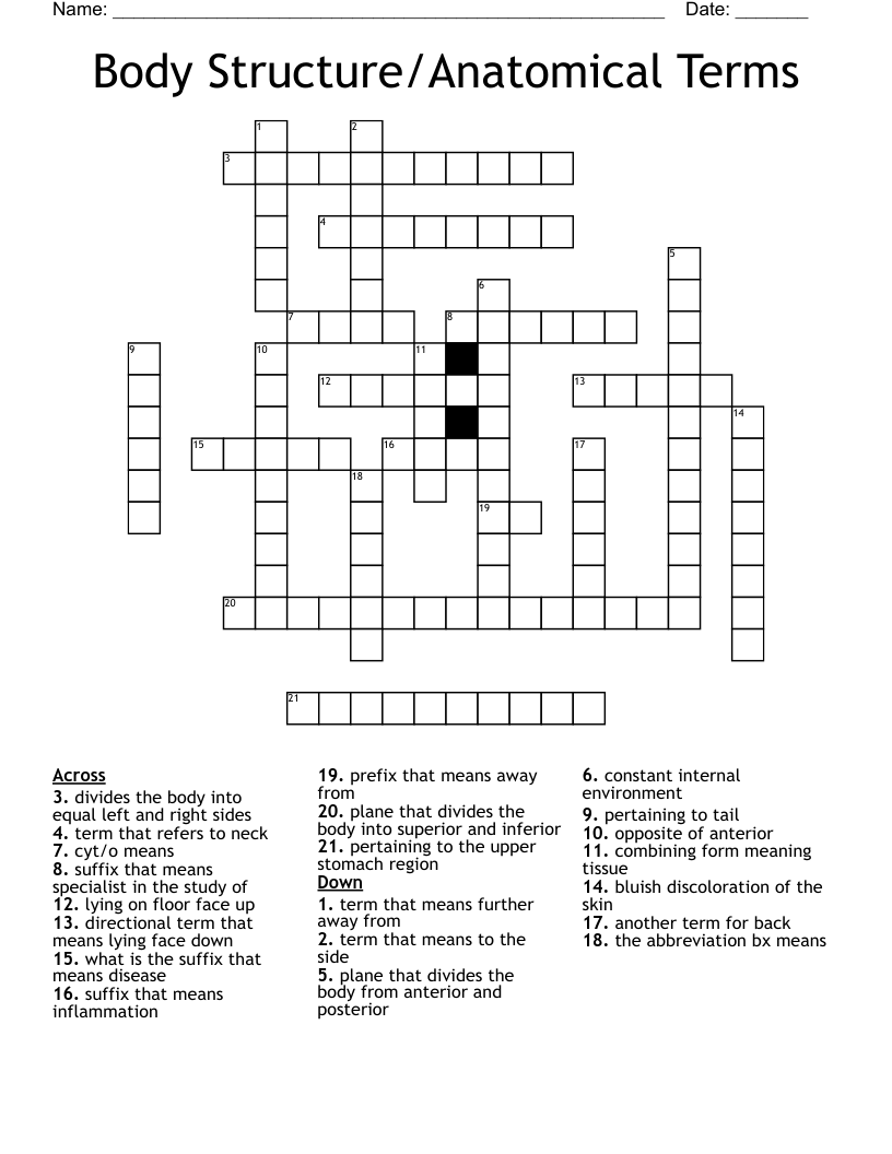 Body Structure Anatomical Terms Crossword WordMint