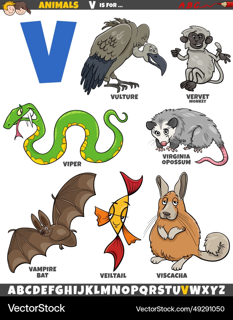 Cartoon Animal Characters For Letter V Royalty Free Vector VectorStock