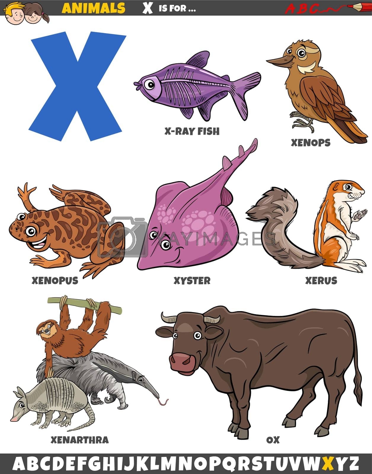 animal name in x