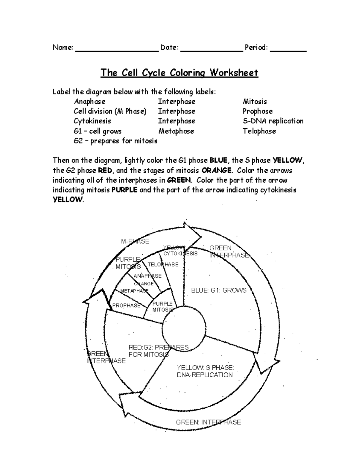 cell cycle and mitosis worksheet cell cycle and mitosis worksheet