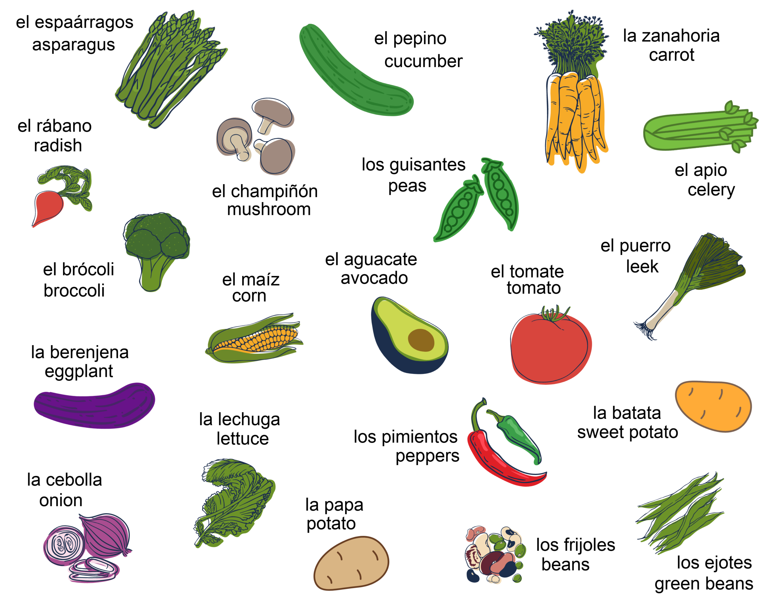 Cindy DeRosier My Creative Life Spanish English Fruits Vegetables And Meat Dairy Vocabulary Cards