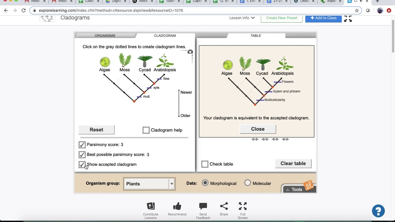 Cladogram Gizmo Tutorial YouTube