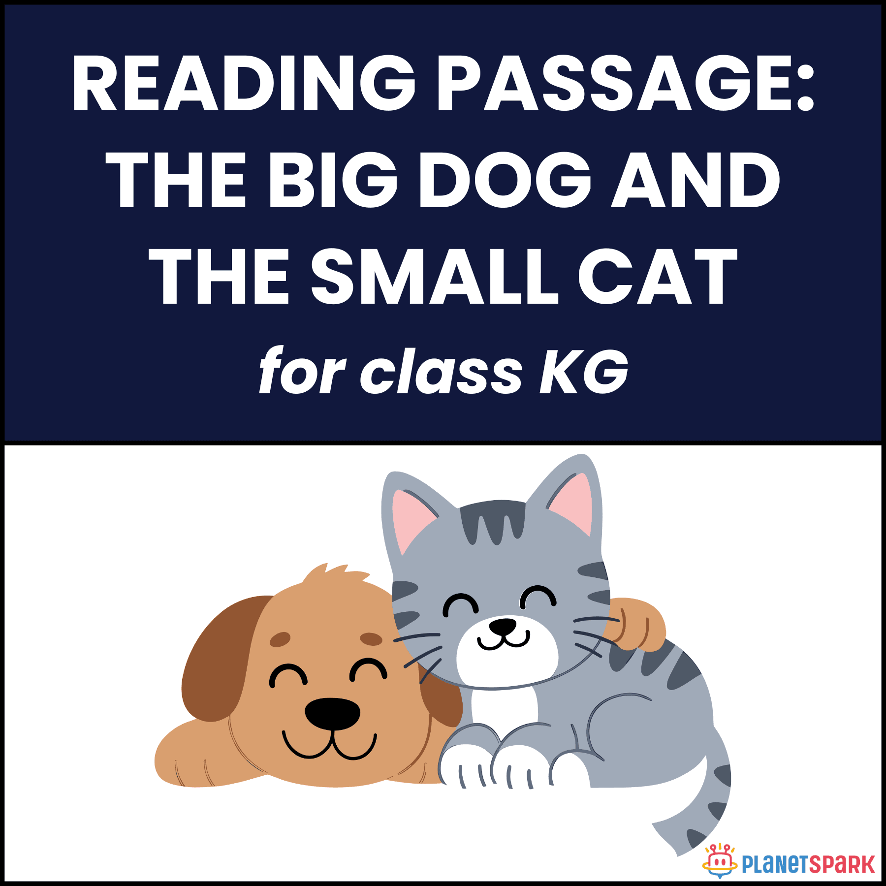 Class KG Passage On The Big Dog And The Small Cat PlanetSpark