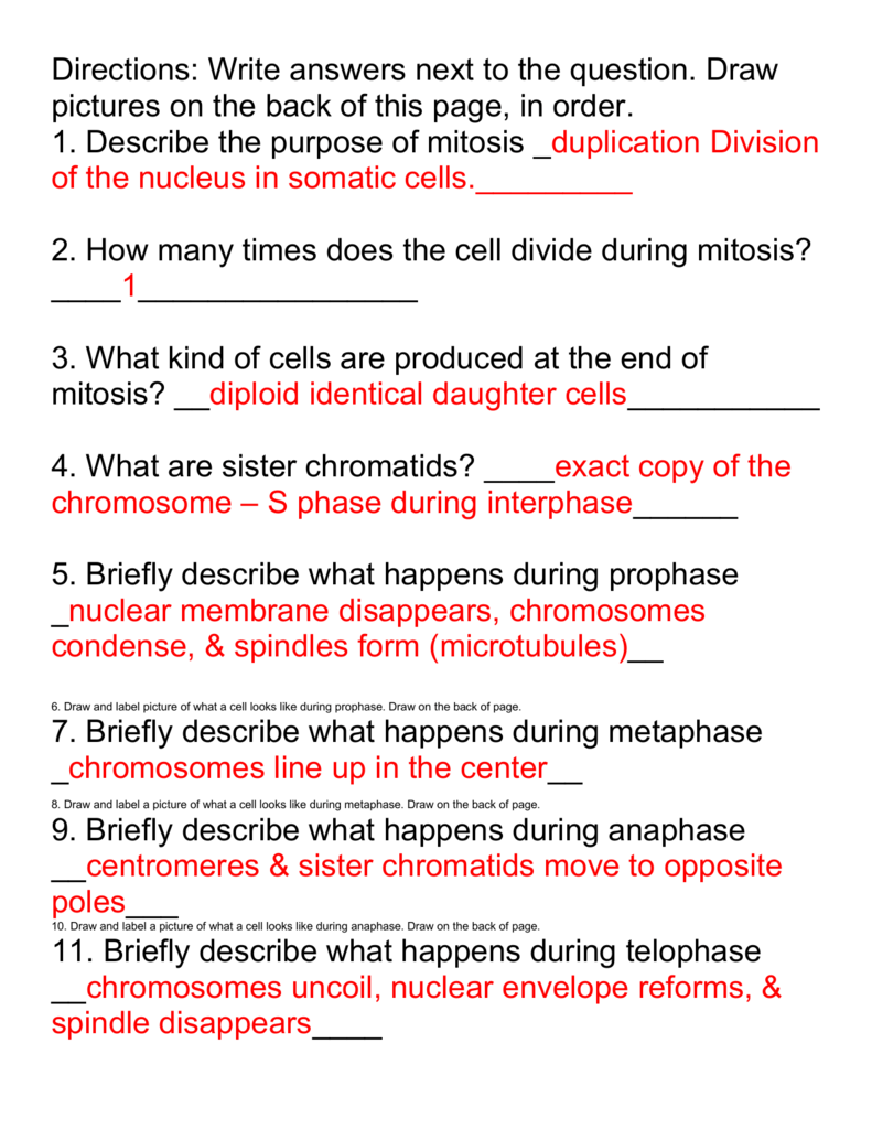 mitosis versus meiosis worksheet