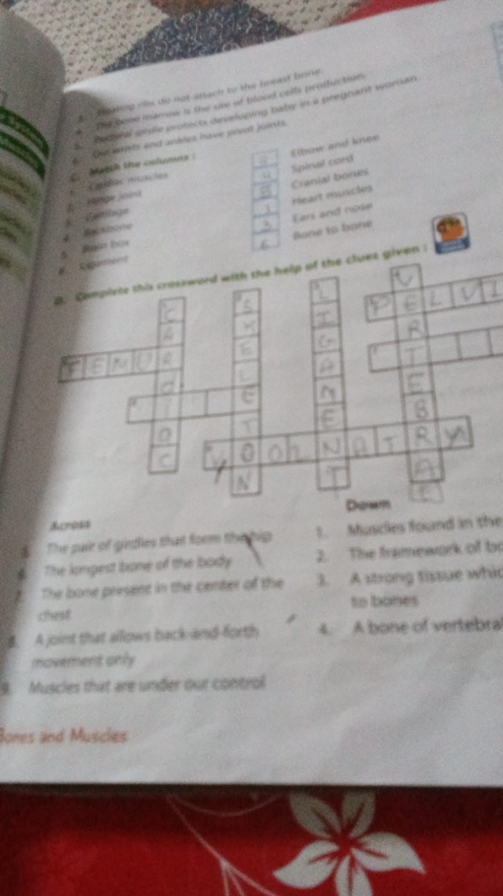 Complete The Crossword With The Help Of The Clues Given Across The Pair Complete The Crossword With The Help Of The Clues Given Across The Pair
