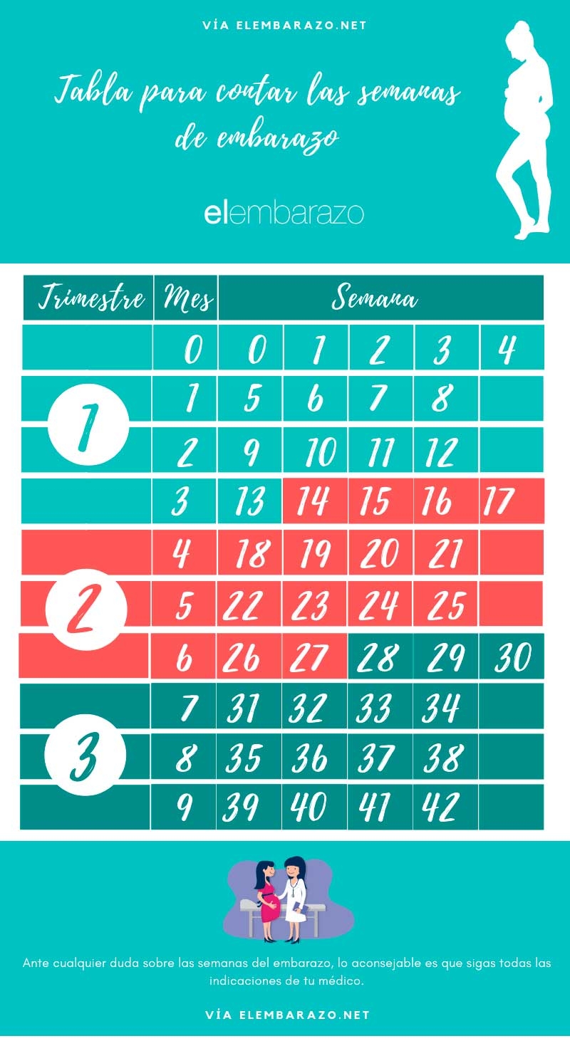 Cuantas Semanas Bebe En Meses De Gestacion Segundo Mes Gestacion De Meses 26 Semanas De Embarazo Cuantas Semanas Bebe En Meses De Gestacion Segundo Mes Gestacion De Meses 26 Semanas De Embarazo