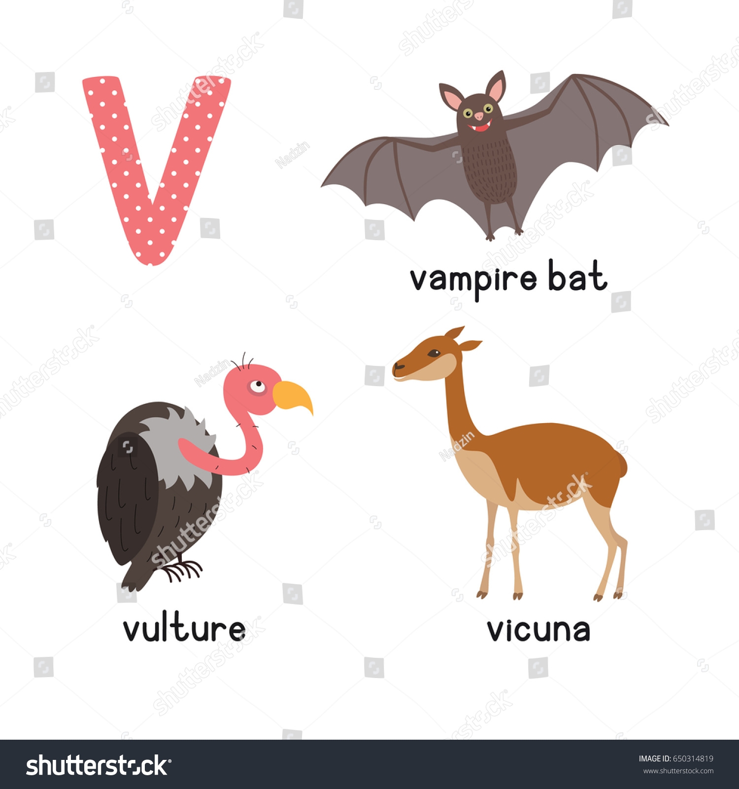 Cute Animal Zoo Alphabet Letter V Stock Vector Royalty Free 650314819 Shutterstock Cute Animal Zoo Alphabet Letter V Stock Vector Royalty Free 650314819 Shutterstock