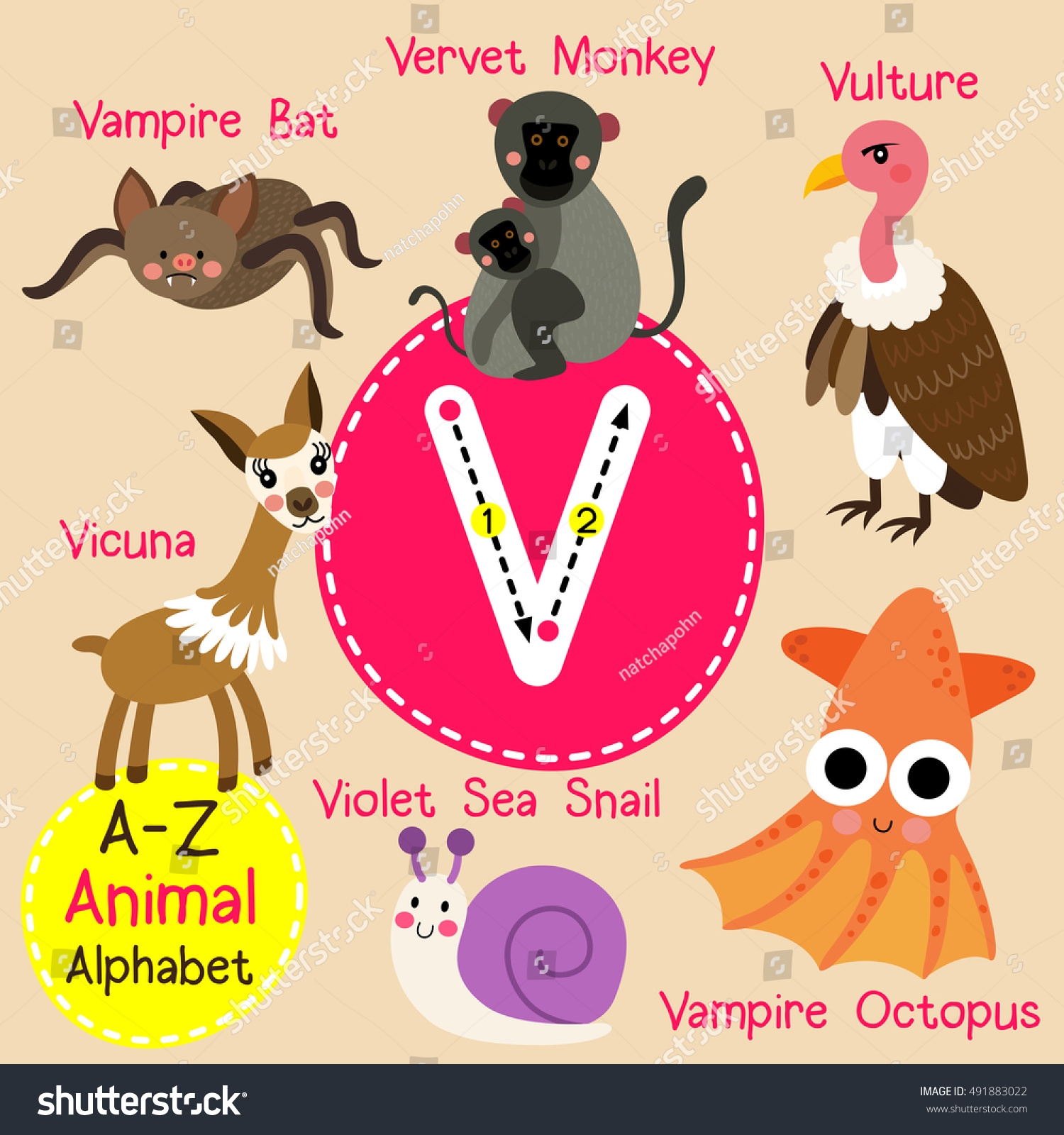animals with the letter v