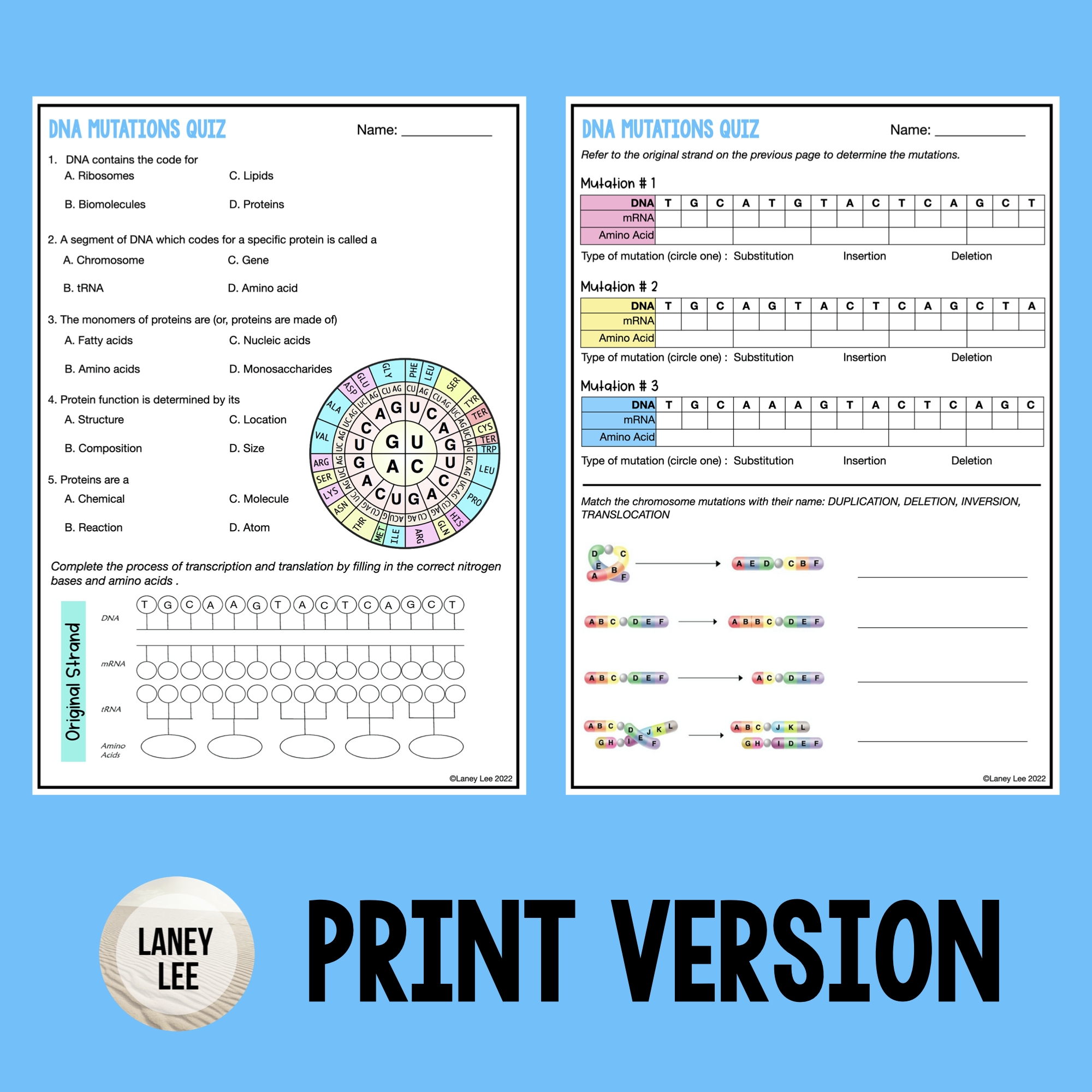 dna mutations practice worksheet