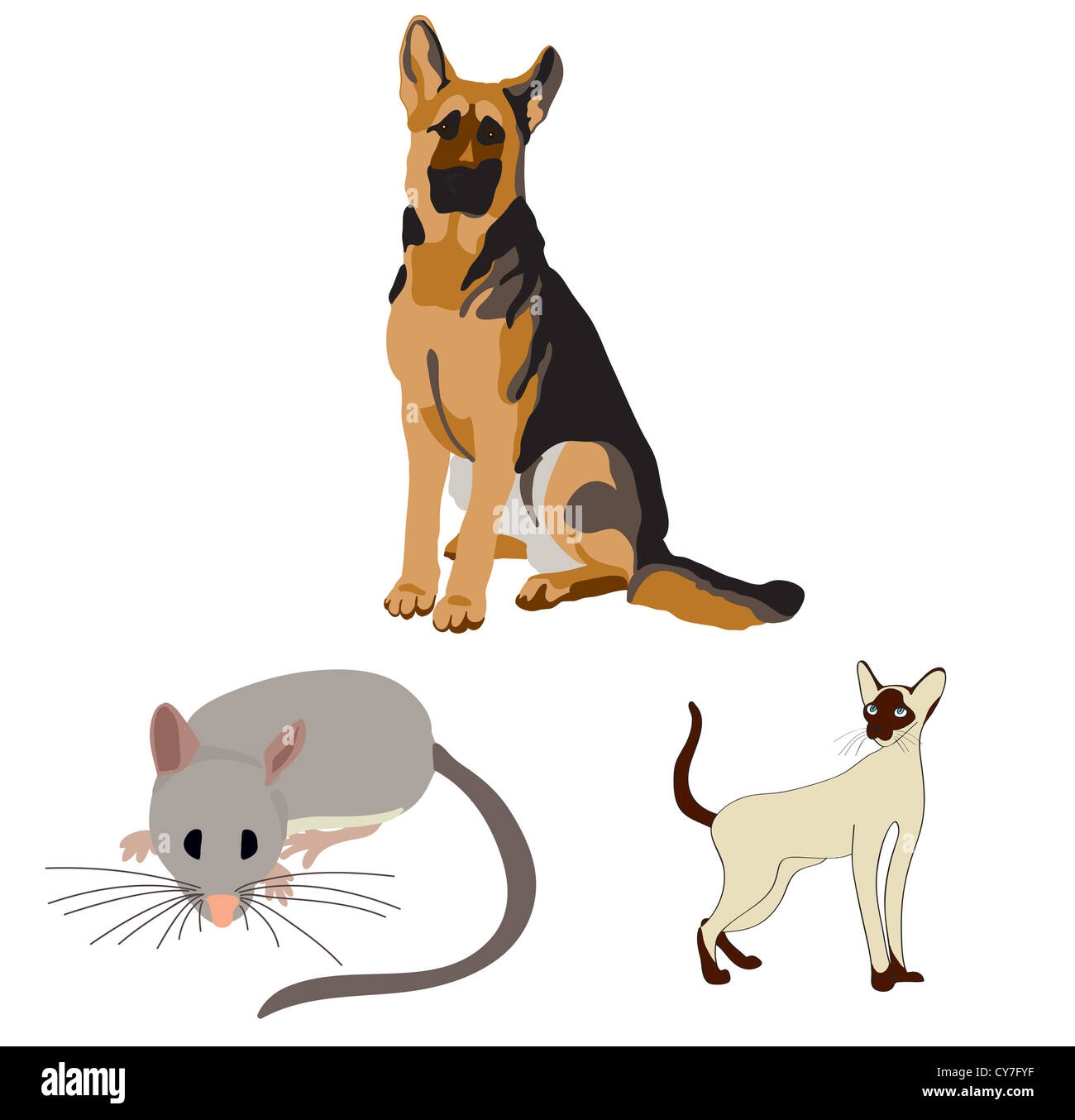 Dog Cat Mouse Cut Out Stock Images Pictures Alamy