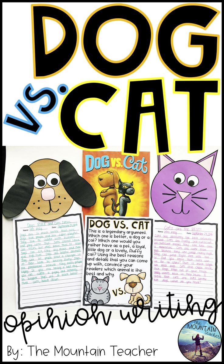Dog Vs Cat Opinion Writing Prompt Graphic Organizers And Bulletin Board