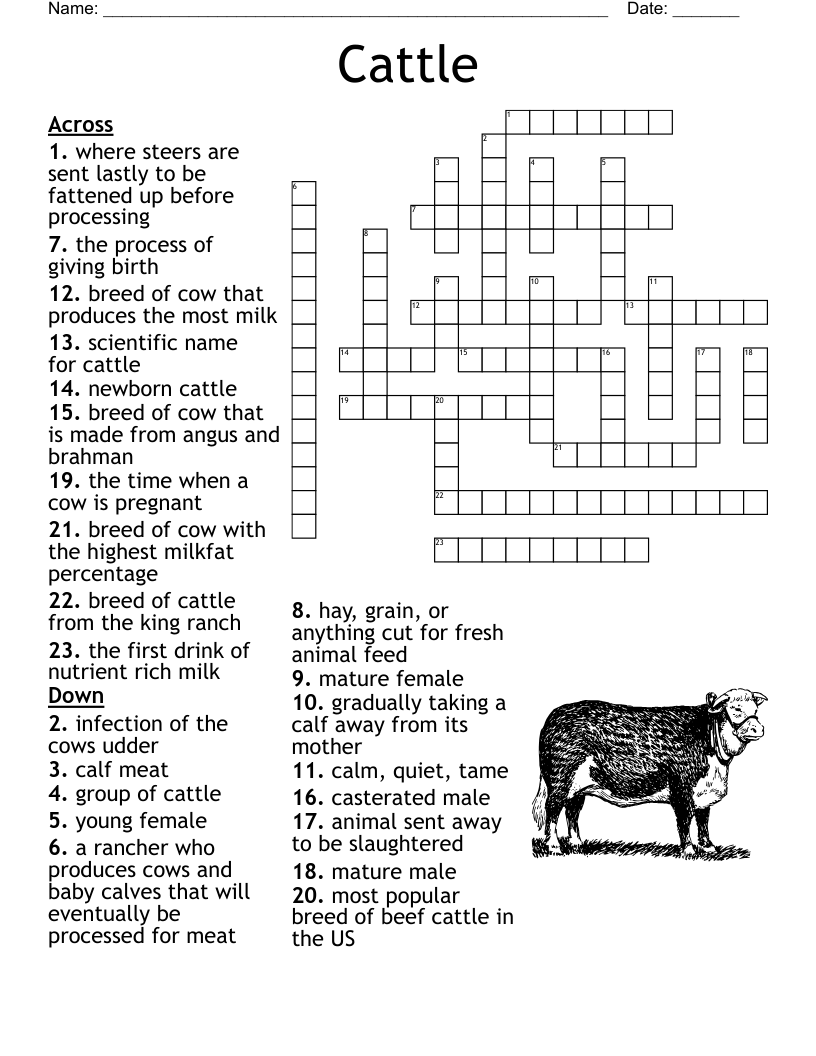 Domestic Animals Crossword WordMint Domestic Animals Crossword WordMint