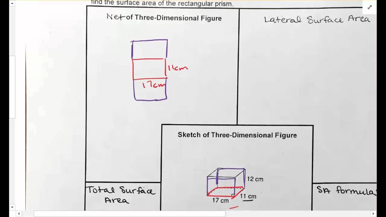 Draw A Net For A Rectangular Prism YouTube