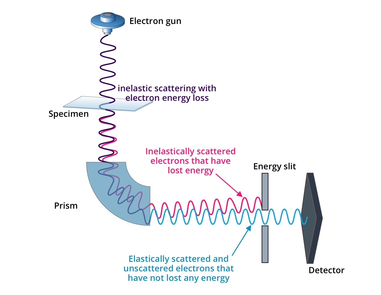 Electron Energy Filters CRYO Electron Energy Filters CRYO