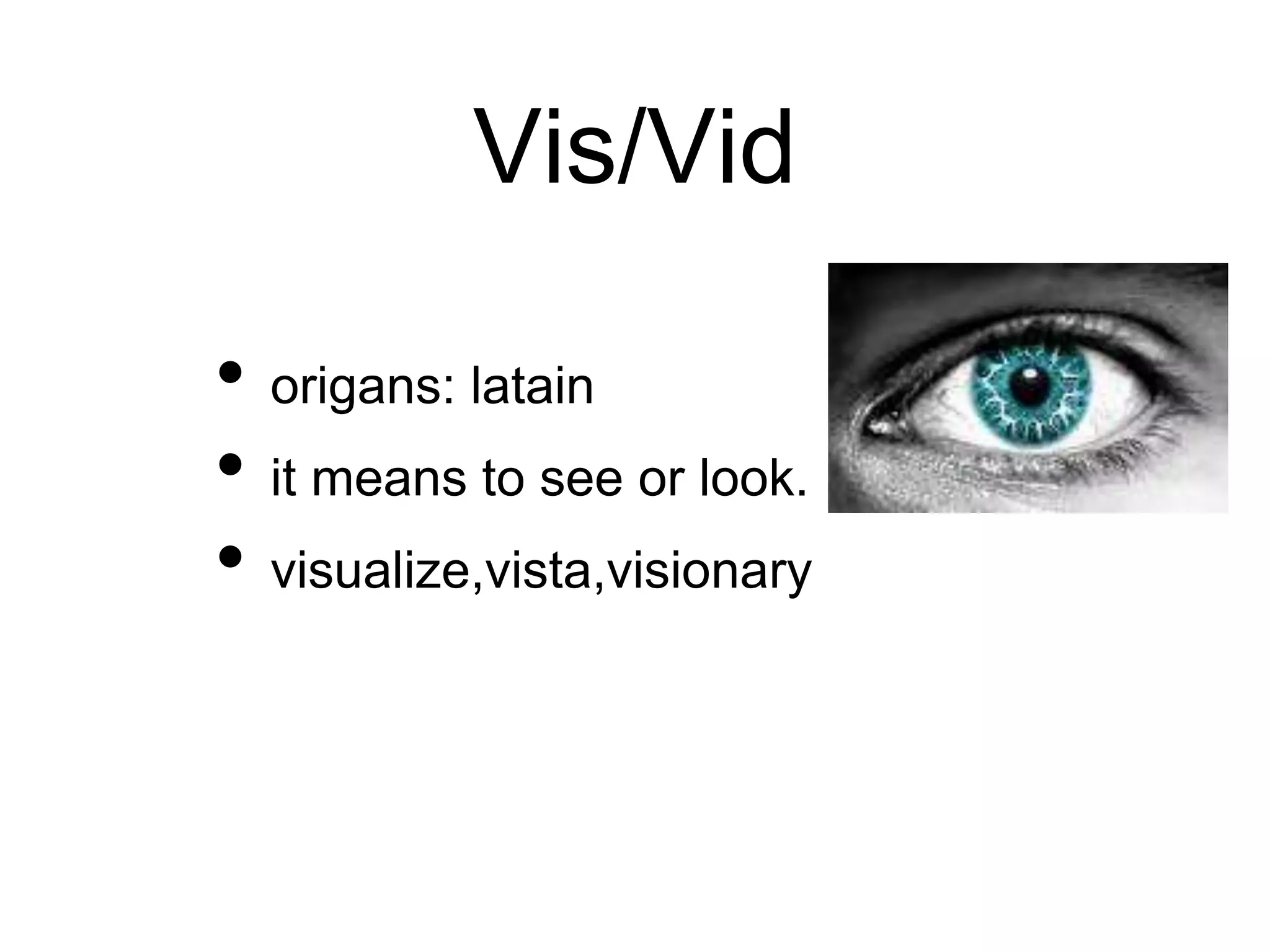 words with the root word vis