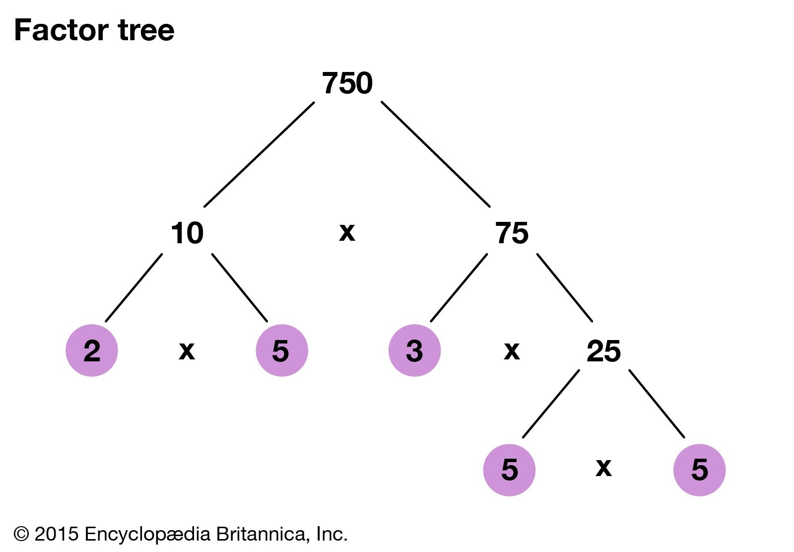 Factor Mathematics Definition Examples Facts Britannica Factor Mathematics Definition Examples Facts Britannica