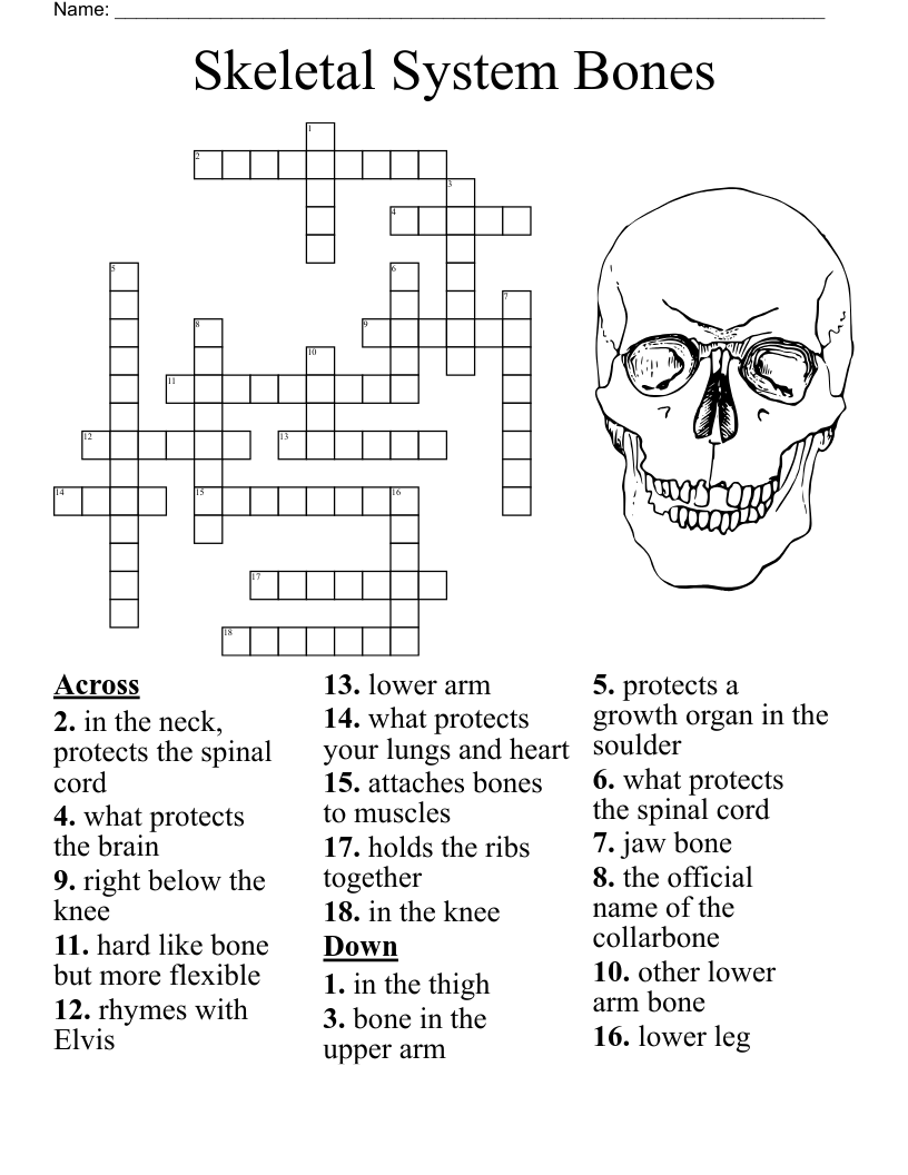 Fencing Terms Crossword WordMint Fencing Terms Crossword WordMint