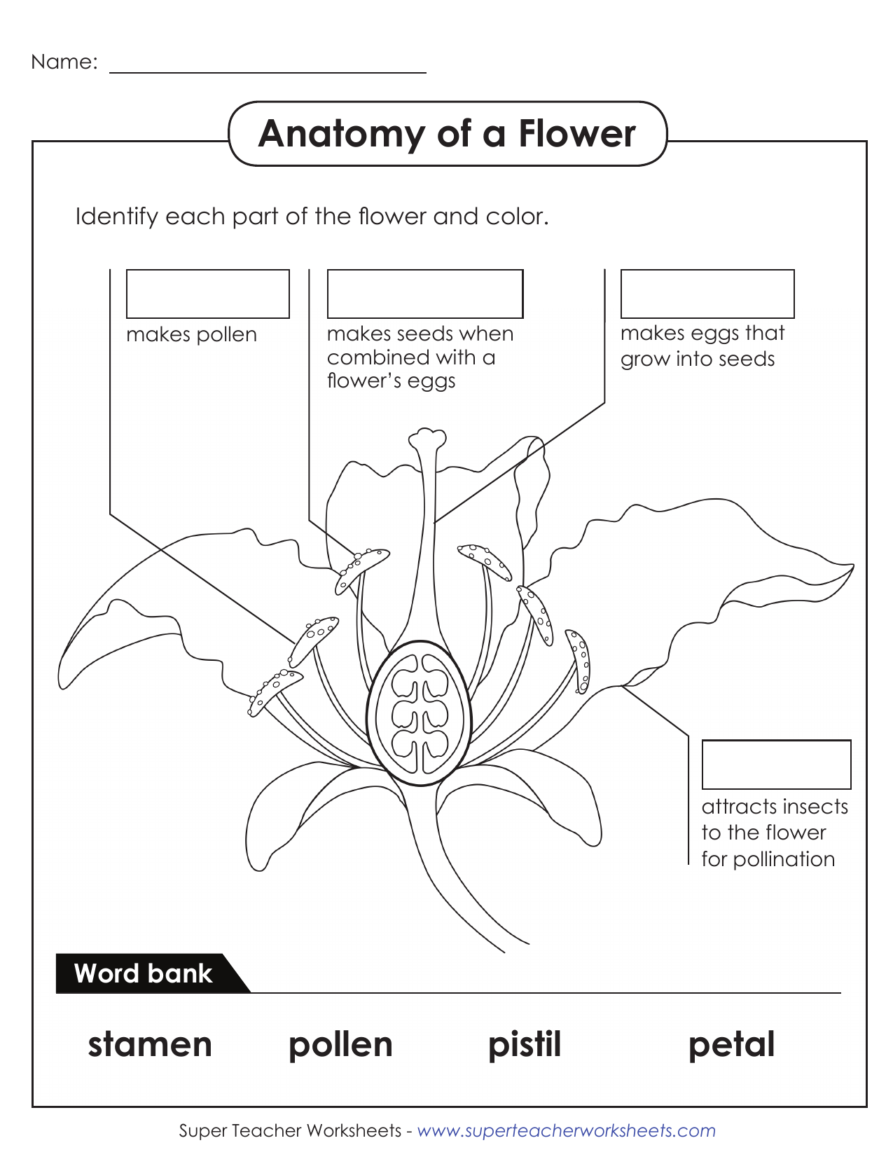 Flower Anatomy Worksheet Label The Parts