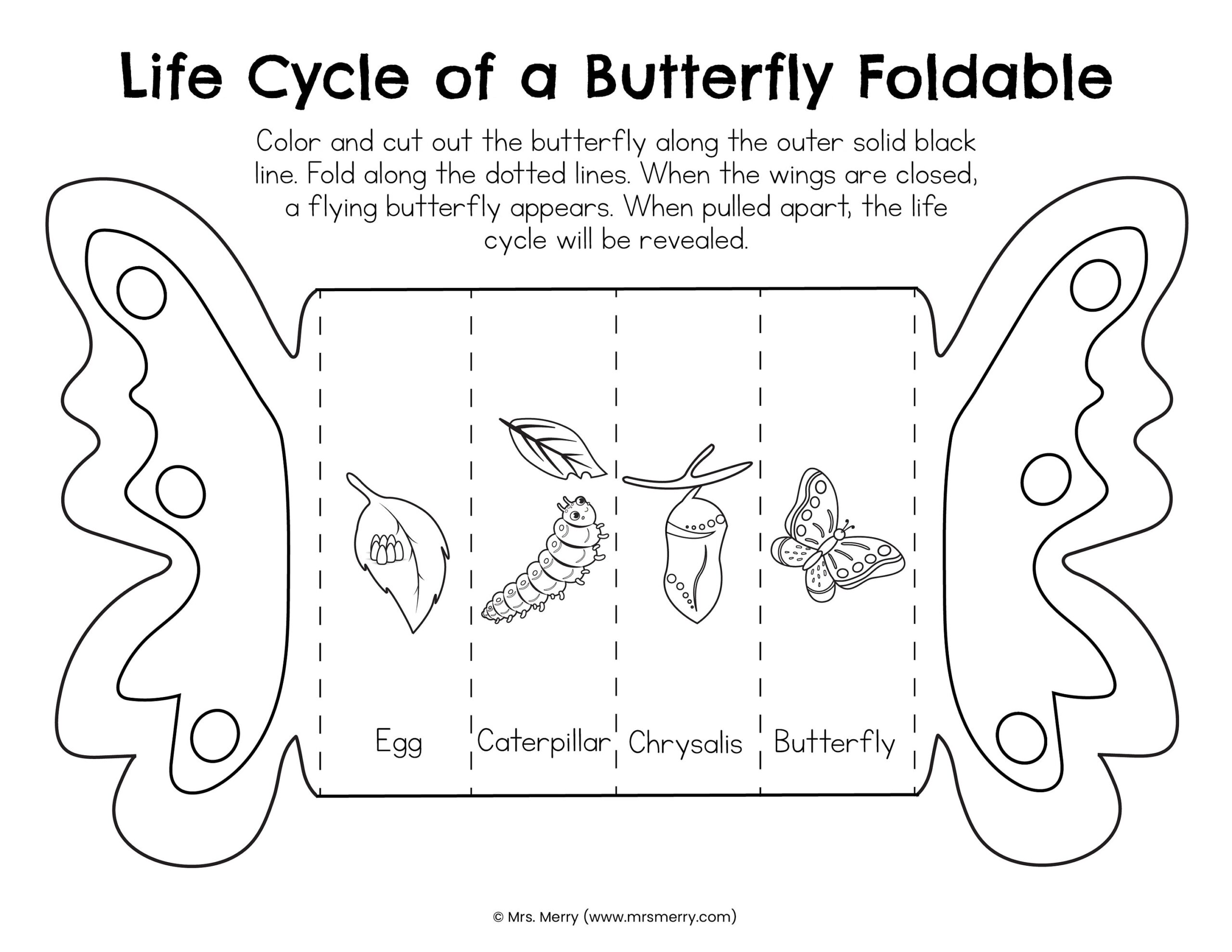 Foldable Butterfly Life Cycle Printable Etsy Denmark