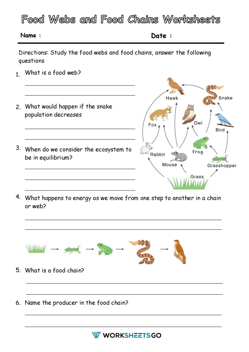 Food Webs And Food Chains Worksheets WorksheetsGO