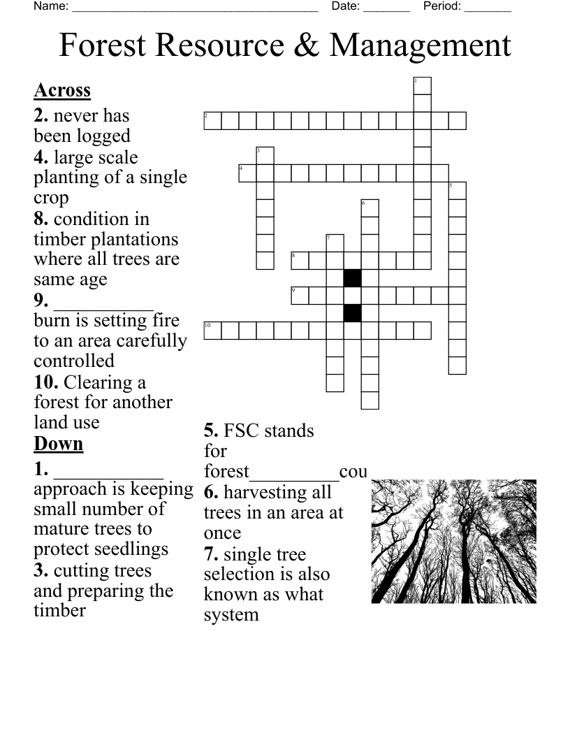 Forest Resource Management Crossword WordMint