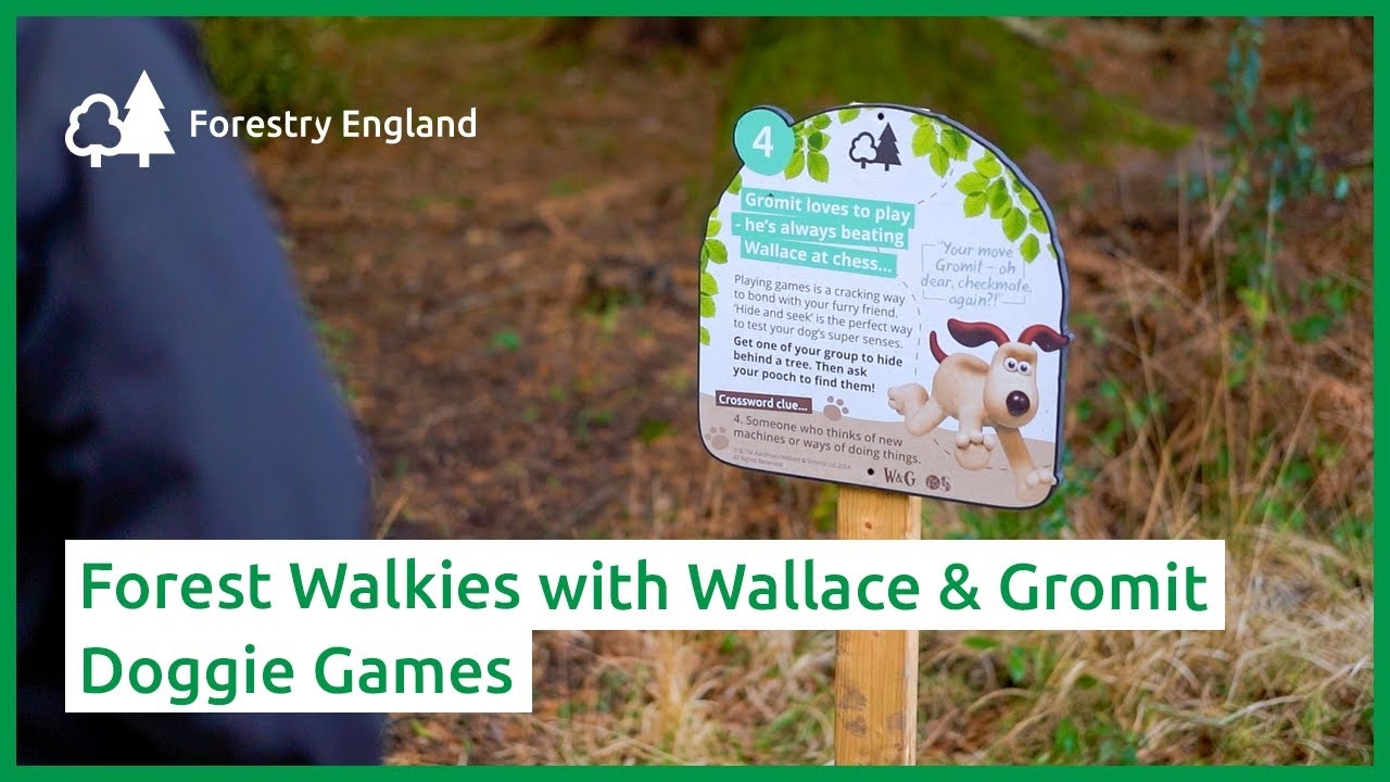Forest Walkies With Wallace Gromit Doggie Games YouTube